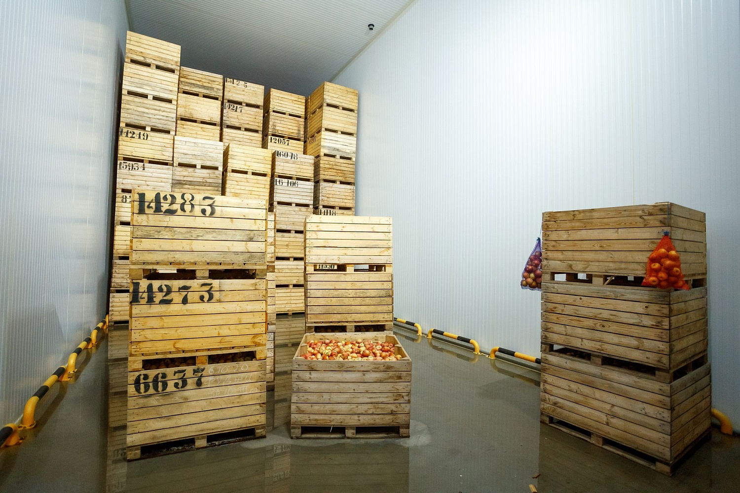 Хранение яблок