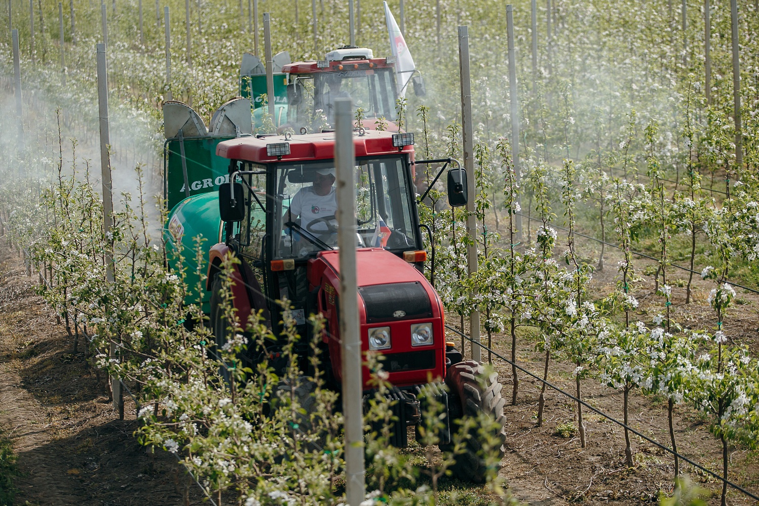 Уход за садом