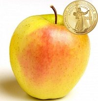 Голден Парси (Golden Parsi)