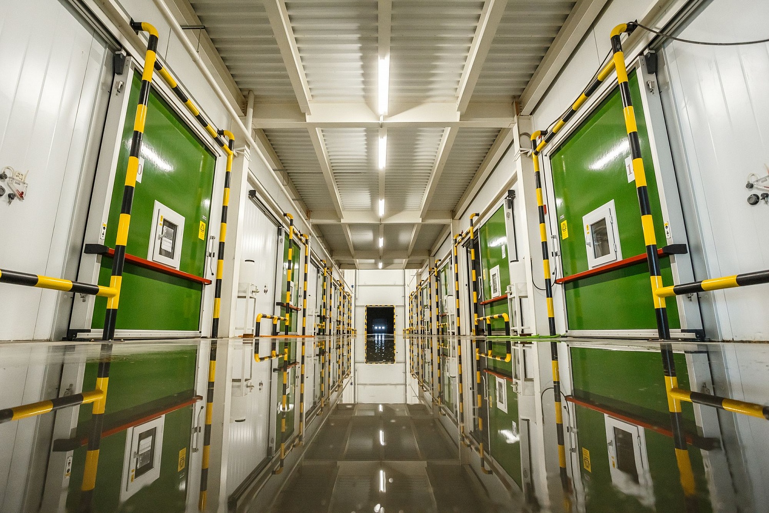 Хранение яблок