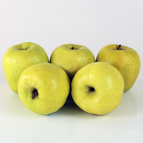 Голден Рейнджерс (Golden Rangers)