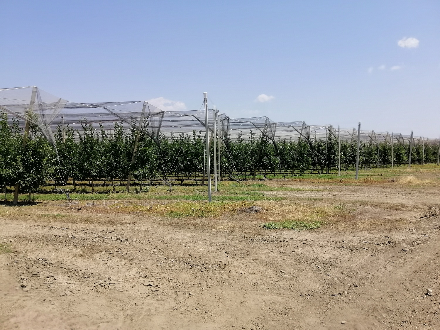 Уход за садом