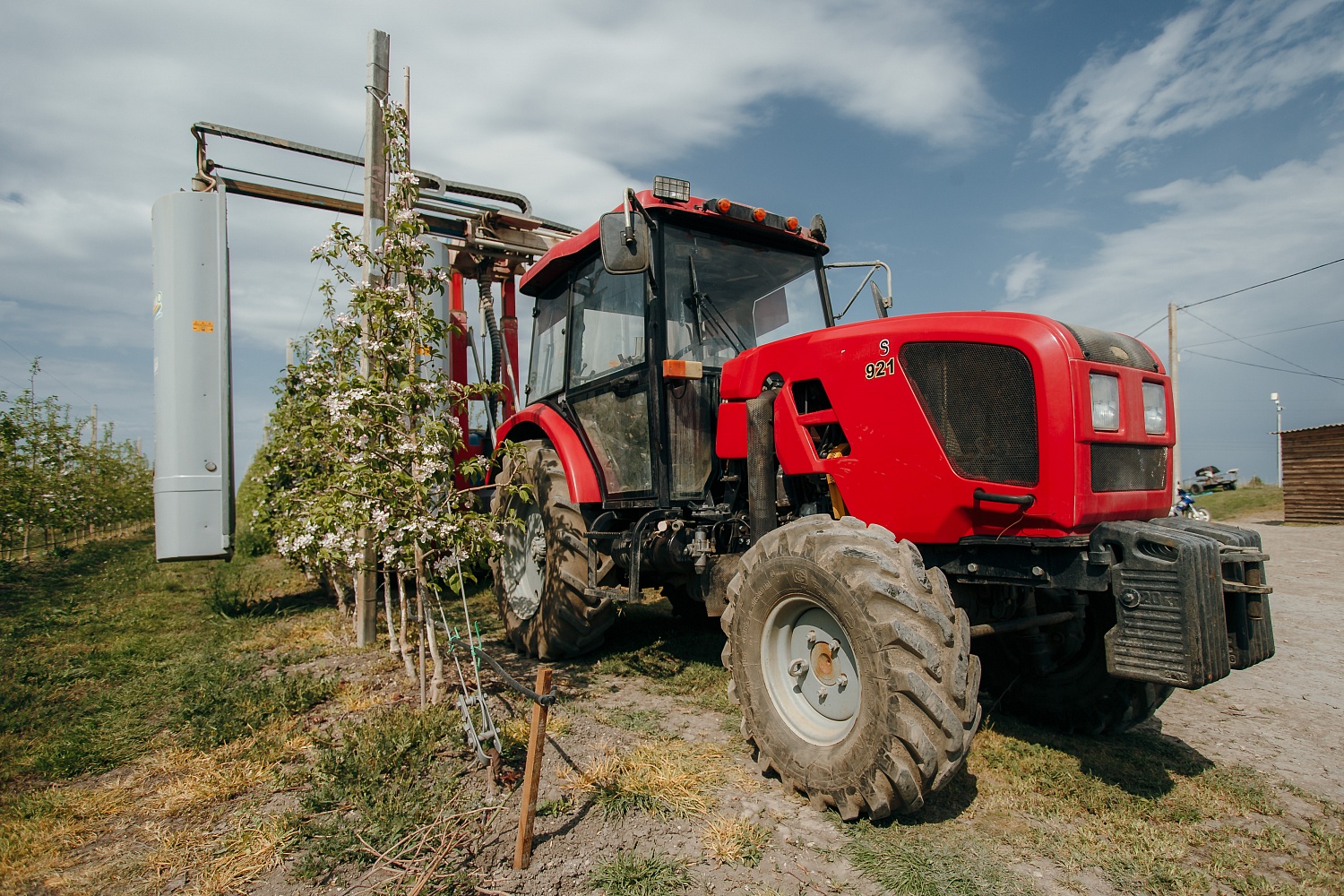 Уход за садом