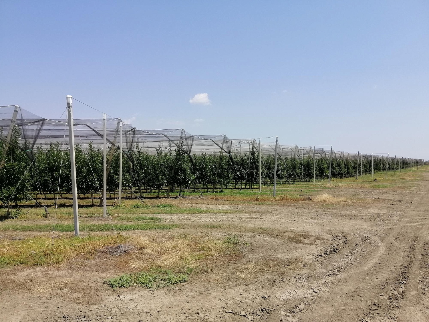 Уход за садом