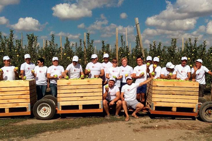 Первый сбор урожая