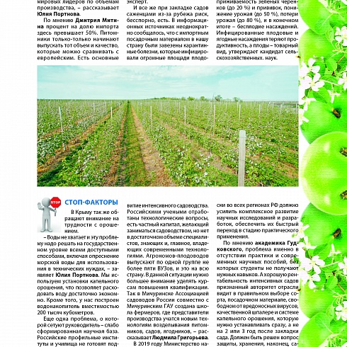 Интенсивное садоводство в России: перспектива, темпы, острые вопросы