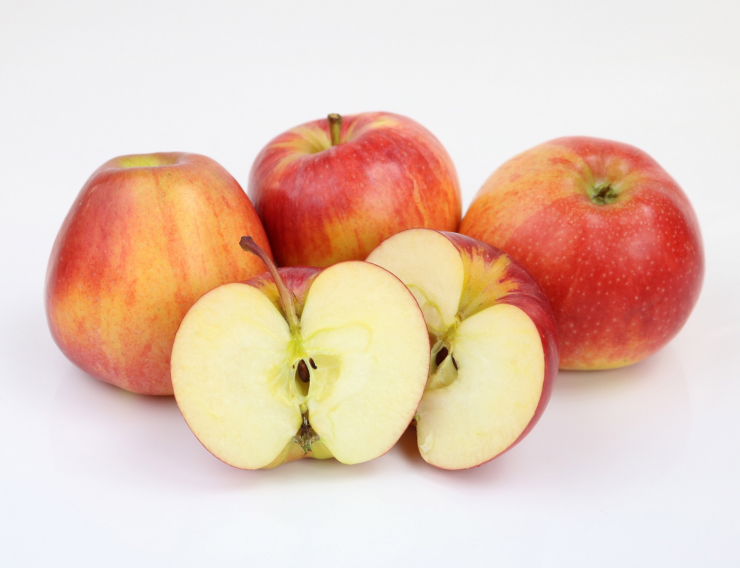 Гала Schnico Red (Gala SchniCo(S) Red Schniga)