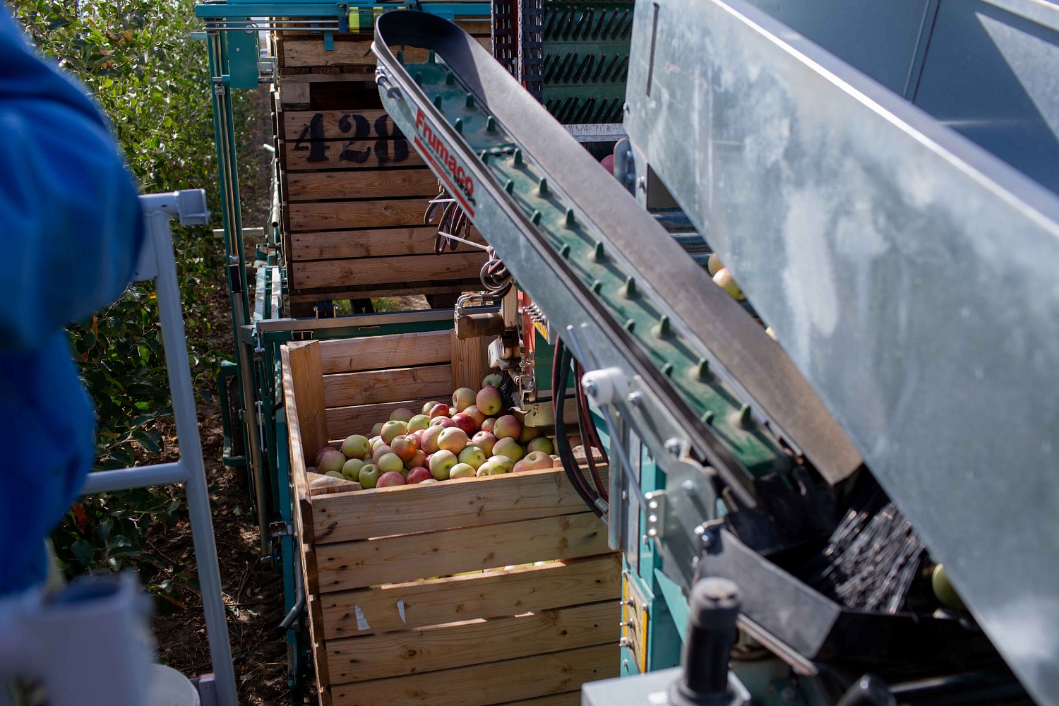 Сбор урожая