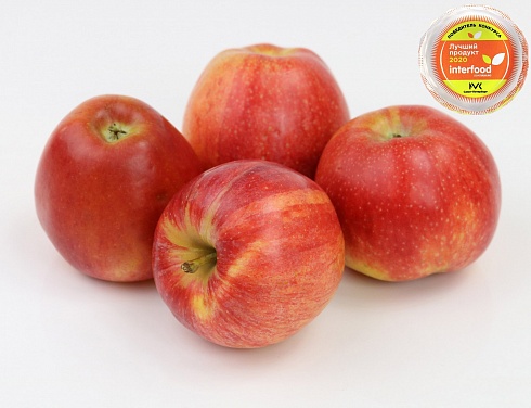 Гала Schnico Red (Gala SchniCo(S) Red Schniga)