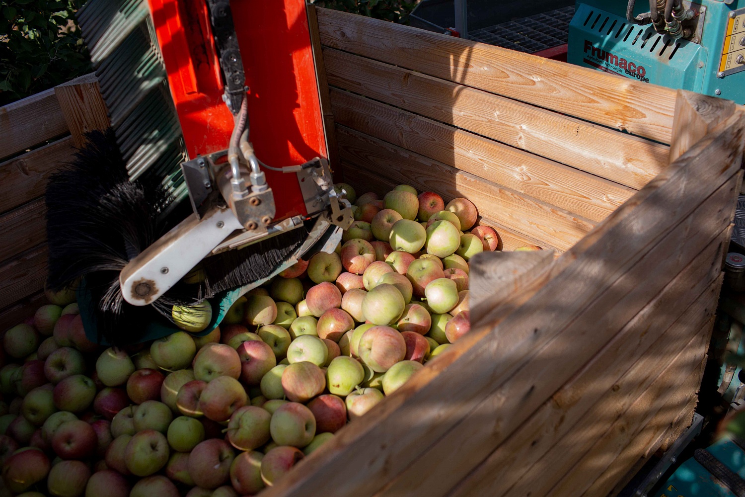 Сбор урожая